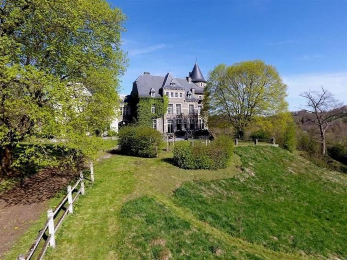 Le Petit Chateau De Blier Villa Érezée Eksteriør bilde